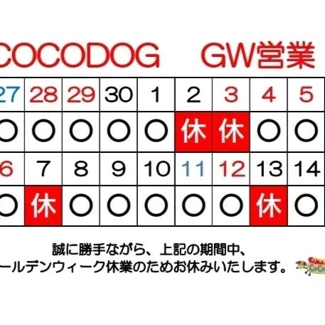 COCODOGです。