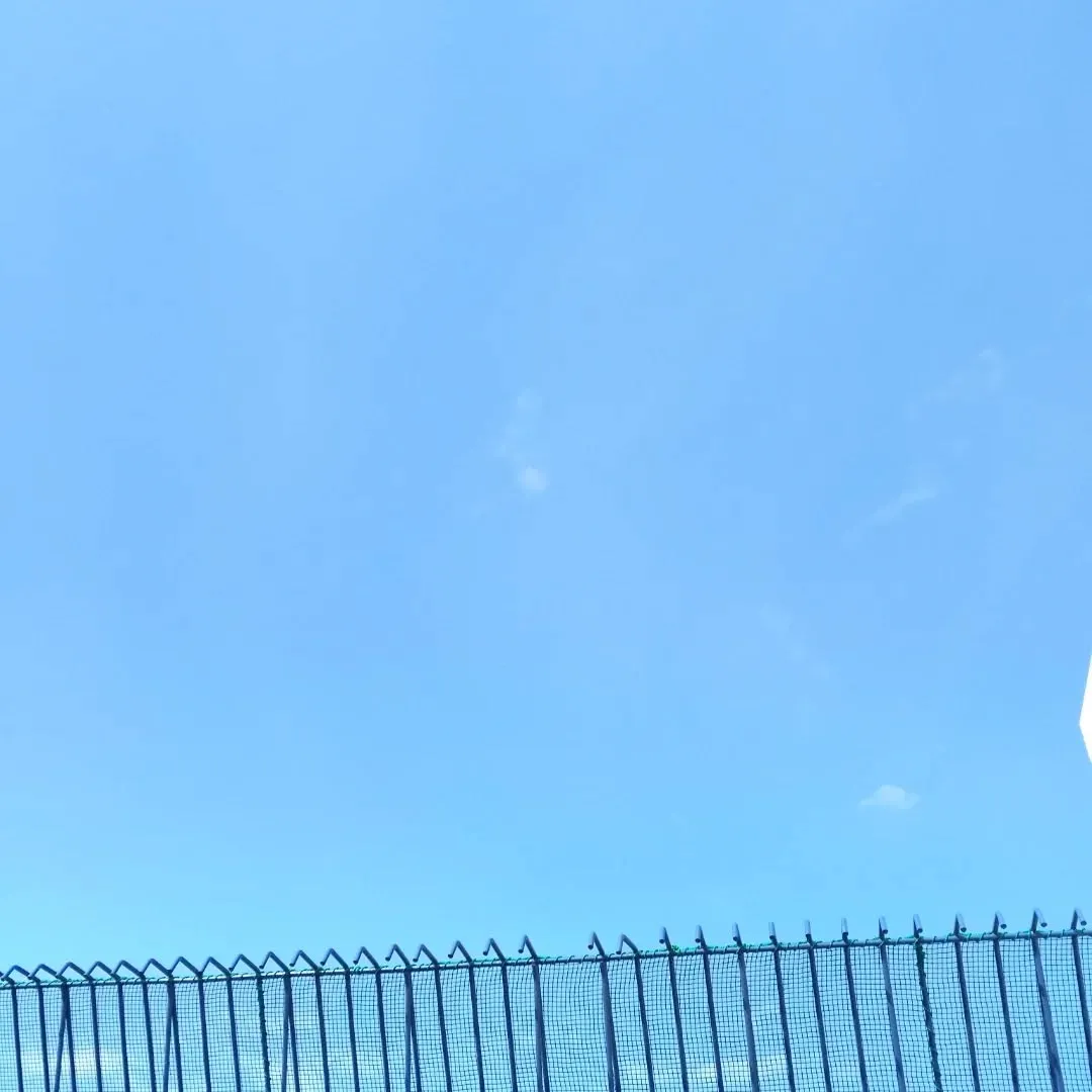 船橋東武百貨店パンフェス4日目!