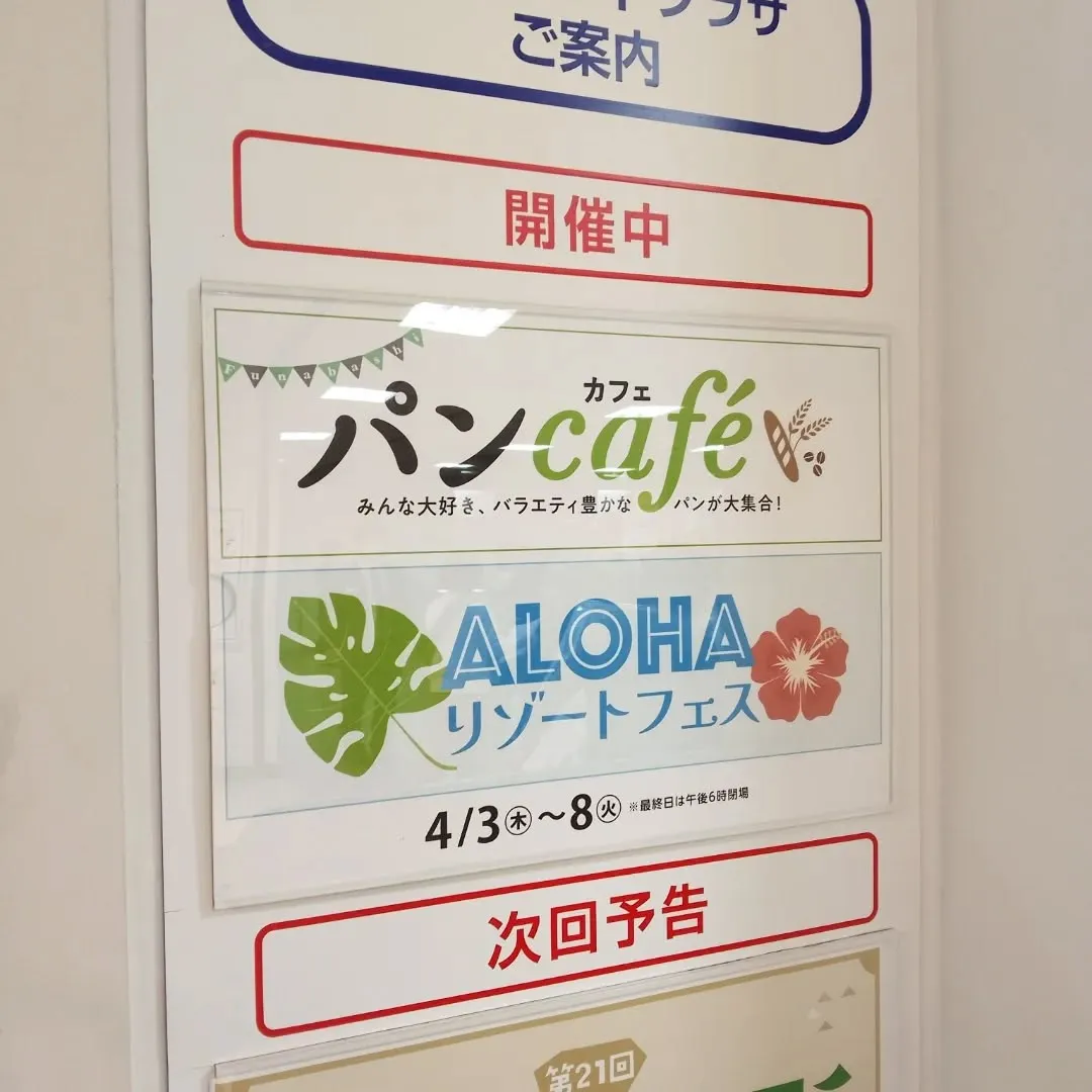 春のパンフェス6日目！