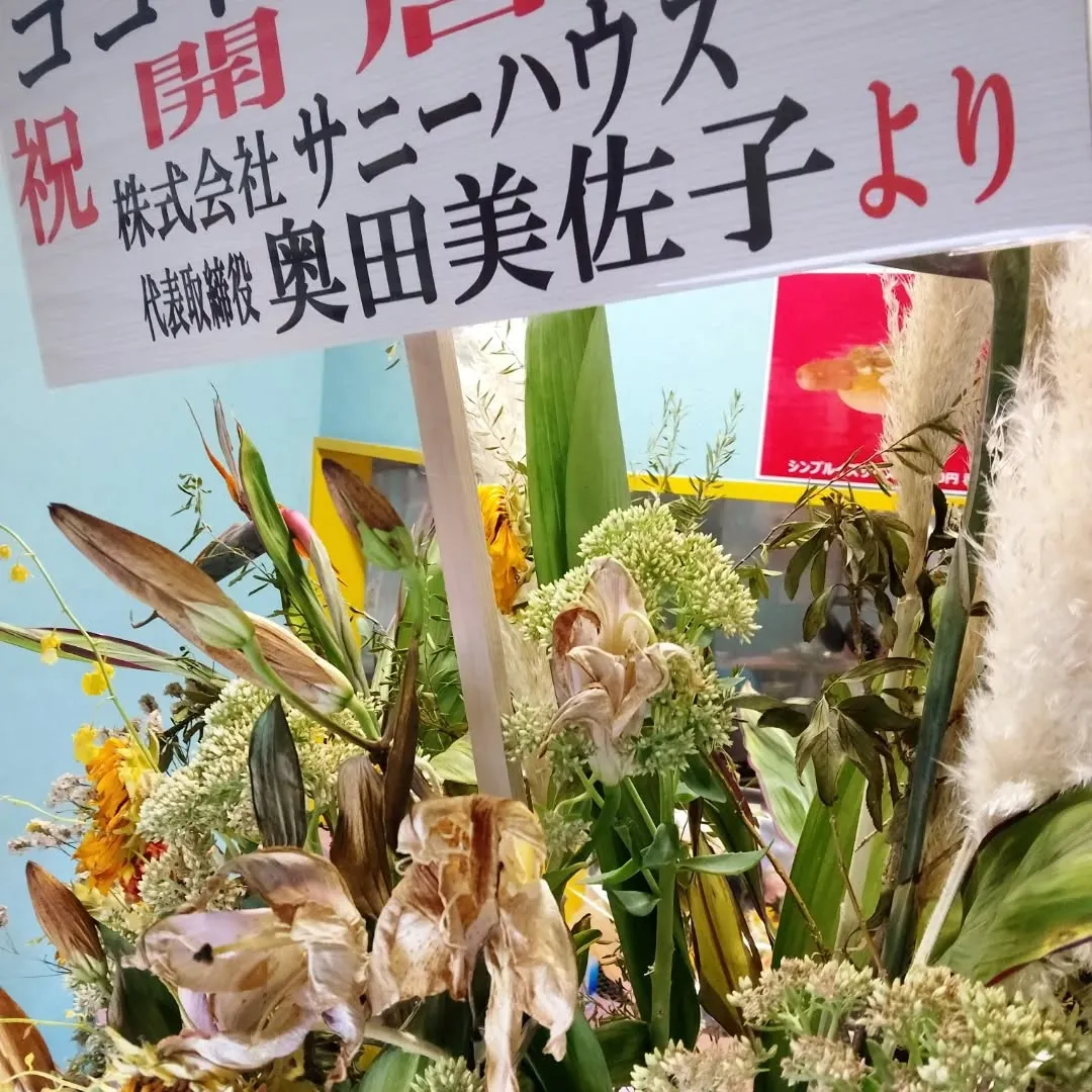 COCODOGです。