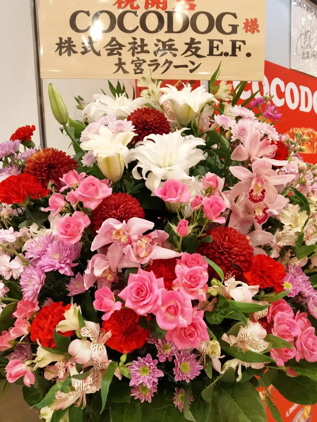 COCODOGです。